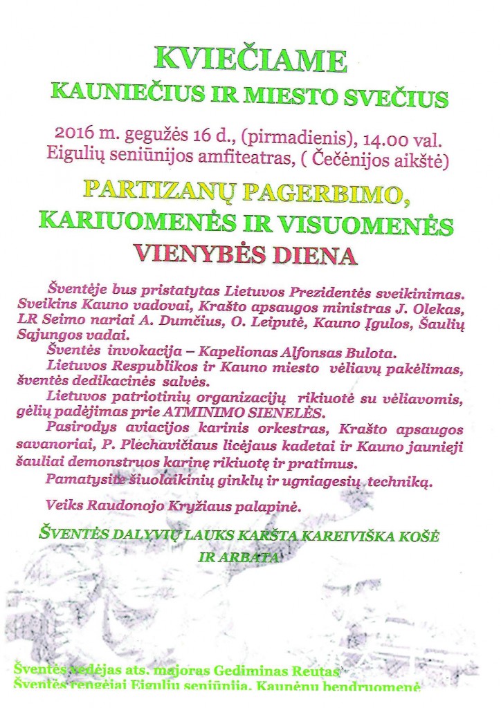 Vienybės diena.pdf