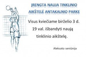 Tinklinio aikštelė Antakalnio parke