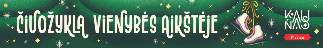 Čiuožykla Vienybės aikštėje