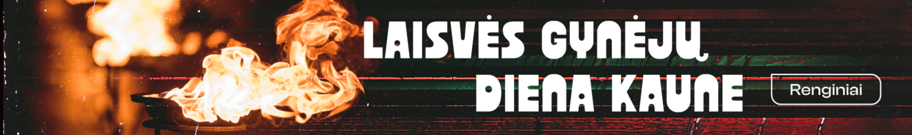 Sausio įvykių programa